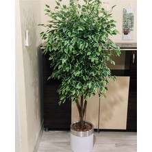 Rüzgar Yapay Çiçekçilik 170 cm Ficus Ağacı 30X30 Beyaz Saksıda