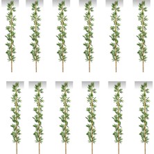 Rüzgar Yapay Çiçekçilik 2 Metre 12 Adet Bambu