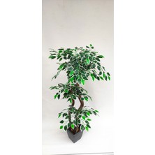 Rüzgar Yapay Çiçeçilik 150 cm Ficus Ağacı