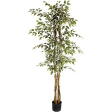 Rüzgar Yapay Çiçekçilik 150 cm Ficus Ağacı