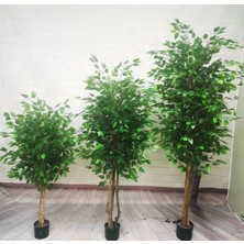 Rüzgar Yapay Çiçekçilik 3 Lü Benjamin Ağacı 180 cm 160 cm 140 cm