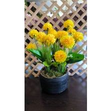 Rüzgar Yapay Çiçekçilik 18 Kafalı Sari Karanfil Beton Saksıda