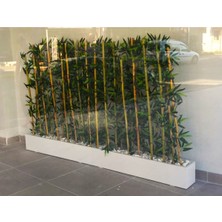 Yapay Bambu Ağacı Seti 1.50 mt Boy Bamboo Çubuk Çiçek 2 Adet 75 cm Ahşap Beyaz Iç Mekan Saksıda