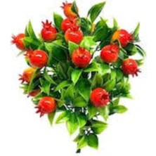 Rüzgar Çiçekcilik Minyatür Nar Demeti