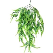 Yeşil Sarkıt Sarmaşık Rüzgar Çiçekçilik Dekoratif Bitki