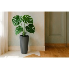 Rüzgar Yapay Çiçekçilik Lilyum Saksı