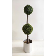 Rüzgar Yapay Çiçekçilik 120 cm Şimşir Top
