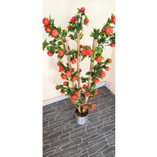 Rüzgar Çiçekcilik 1 Metre Mandalina Ağacı