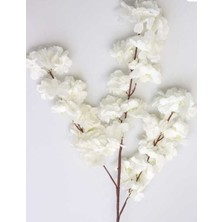Rüzgar Çiçekcilik 100 cm Beyaz Bahardalı