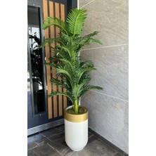 Rüzgar Yapay Çiçekçilik Darbuka Saksıda Areka Ağacı