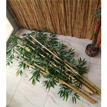 Yapay Bamboo Ağacı Orta Asya Bambu Çubuklar 1.50 mt Boy 10 Adet 1 Bağ Seperatör
