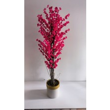 Rüzgar Yapay Çiçekçilik 30X30 Krem Gold Saksıda Bahardalı Ağacı