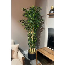 Rüzgar Yapay Çiçekçilik 170 cm Bambu Ağacı