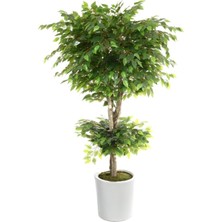 Rüzgar Yapay Çiçekçilik 180 cm Benjamin Ağacı Üretim Saksisinda