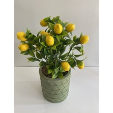 Rüzgar Yapay Çiçekçilik Beton Saksıda Limon Ağacı