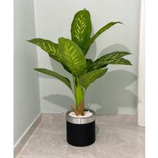 Rüzgar Yapay Çiçekçilik 100 cm Boyunda Difenbahya Ağacı