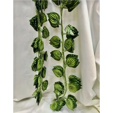 Rüzgar Yapay Çiçekçilik 2.30 cm 12 Adet Sarmaşık