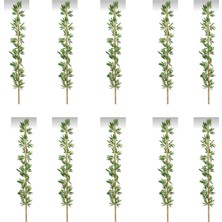 Rüzgar Yapay Çiçekçilik 220 cm 10 Adet Bambu