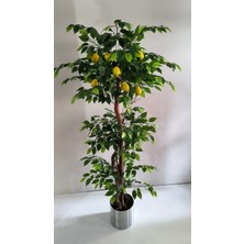 Rüzgar Yapay Çiçekçilik 200 cm Limon Ağacı
