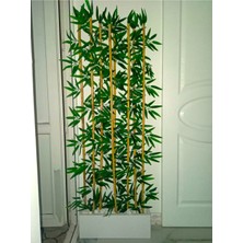 Yapay Bambu Ağacı 1.50 mt Boy Bamboo Çubuk Çiçek 50 cm Ahşap Beyaz Iç Mekan Saksı
