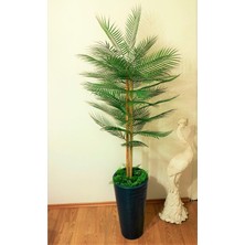 Yapay Palmiye Areka Çikas Palmiyesi 1.65 mt Boy Ağaç Kumsal Fiber Boy Saksıda