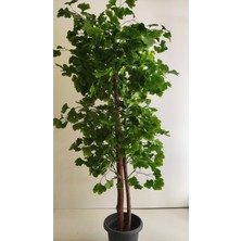 Rüzgar Yapay Çiçekçilik 180 cm Yeşil Sakura Ağacı