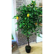 Yapay Limon Ağacı Limon Çiçeği 1.80 Metre Boyunda Büyük Iri Meyveli Limon Bitki