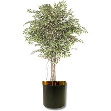 Rüzgar Yapay Çiçekçilik 170 cm Lux Saksıda Ficus  Ağacı