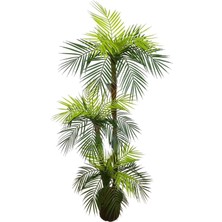 Rüzgar Yapay Çiçekçilik 160 cm Çikas Ağacı