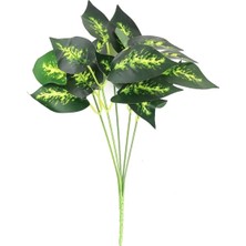 Rüzgar Çiçekcilik 20 cm Tropik Bitki