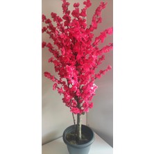 Rüzgar Çiçekcilik 145 cm Plastik Saksı Fuşya Bahardali