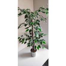 Rüzgar Çiçekcilik