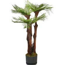 Rüzgar Yapay Çiçekçilik 3 Gövdeli Çikas Ağacı 110 cm