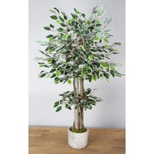 Rüzgar Yapay Çiçekçilik 105 cm Ficus Ağacı