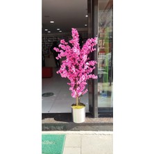 Rüzgar Yapay Çiçekcilik 160 cm Pembe Bahardali