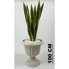 Rüzgar Yapay Çiçekçilik Sansevieria Yeşil Kılıç Bitkisi