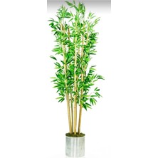 Rüzgar Çiçekcilik 180 cm Metal Saksıda Bambu Ağacı