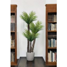 Rüzgar Yapay Çiçekçilik 130 cm Areka Palmiyesi