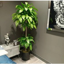 Rüzgar Yapay Çiçekçilik 180 cm Yeşil Ceviz Ağacı