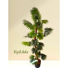 Yapay Yelpaze Palmiyesi 1.30 mt Boy Tropikal  Areka Palmiye Aslanpençesi  Yaprak