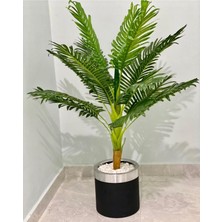 Rüzgar Yapay Çiçekçilik 25X25 Saksıda Areka Ağacı