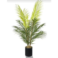 Rüzgar Yapay Çiçekçilik 12X12 Siyah Saksıda 90 cm Cikas Ağacı