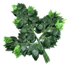 Rüzgar Yapay Çiçekçilik 12 Adet Benjamin Yaprağı