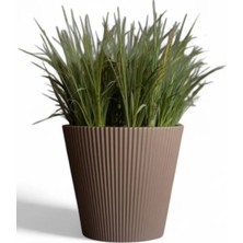 Rüzgar Yapay Çiçekçilik Luna Plastik Saksı