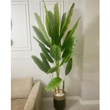 Rüzgar Yapay Çiçekçilik 180 Muz Ağacı