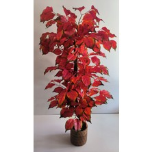 Rüzgar Yapay Çiçekçilik 150 cm Beton Saksıda Tropikal Ağaç