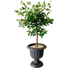 Rüzgar Yapay Çiçekçilik 100 cm Dekoratif Saksıda Benjamin Ağacı