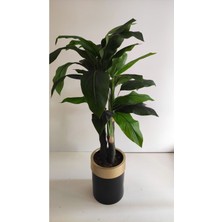 Rüzgar Yapay Çiçekçilik 150 cm Massengena Ağacı