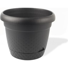 Rüzgar Yapay Çiçekçilik Kp Inci Antresit 8.8 Litre Saksı