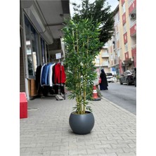 Rüzgar Yapay Çiçekçilik 180 Santim Boyunda 5 Gövdeli Bambu Ağacı